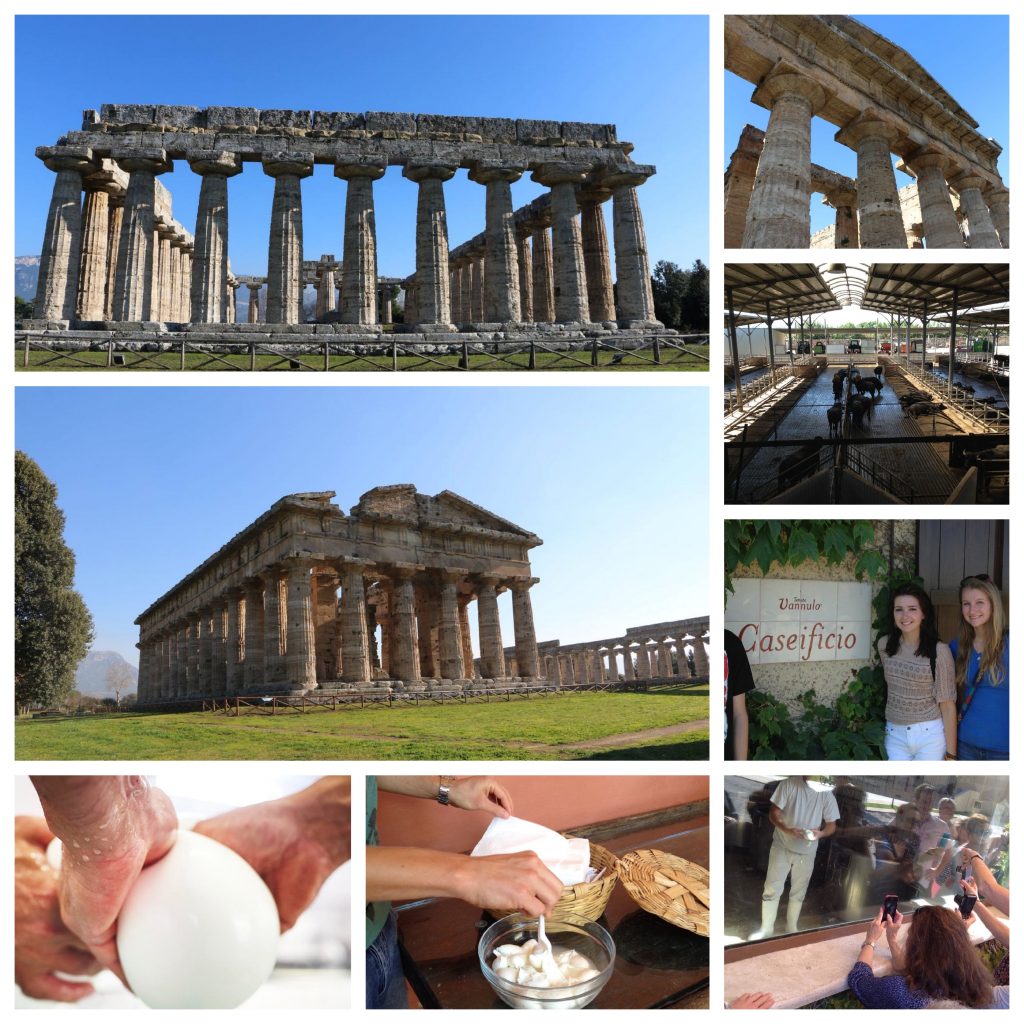 Paestum, Temples and Buffalo Mozzarella